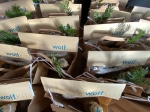 Wolfkit, Wolfurter WeihnachtKund:innengeschenk